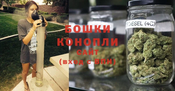 амф Краснослободск
